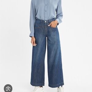 Banana Republic Wide Leg Yoke Jean High Rise Dark Wash Baggy Trendy Sz 2